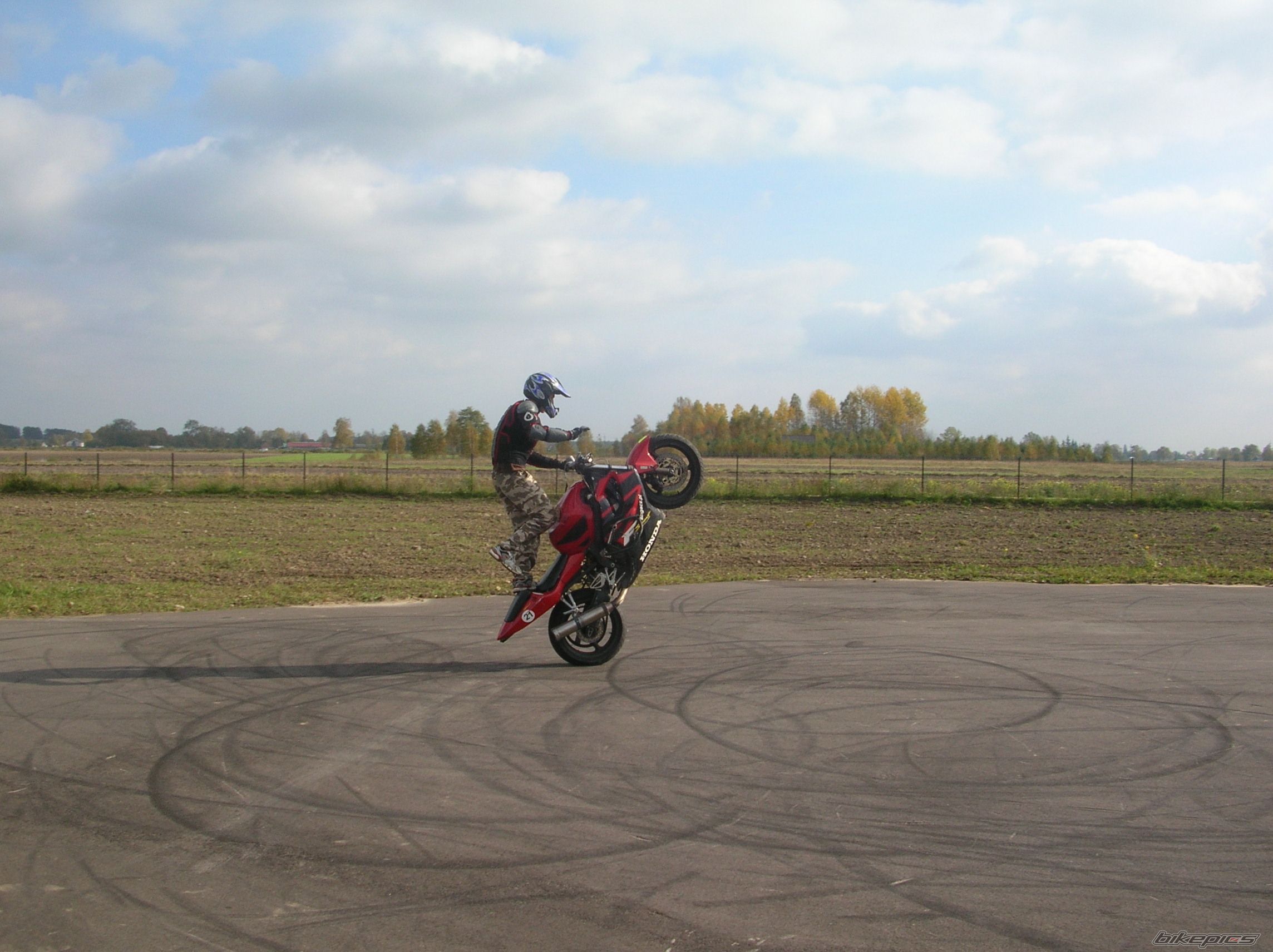 Photo 1448237
