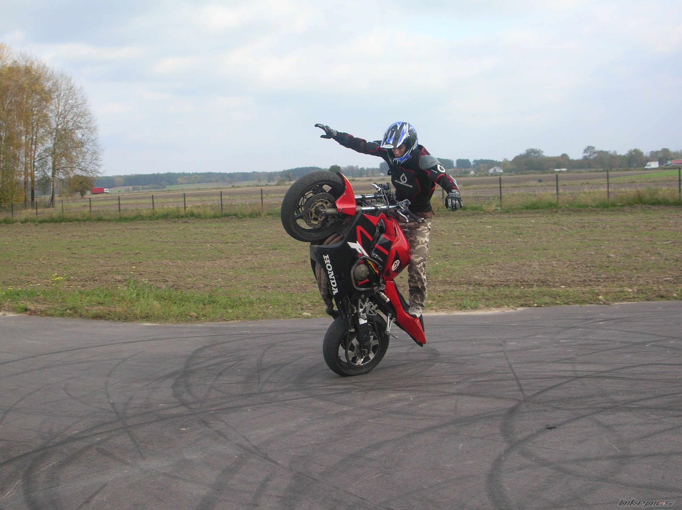 Photo 1448252