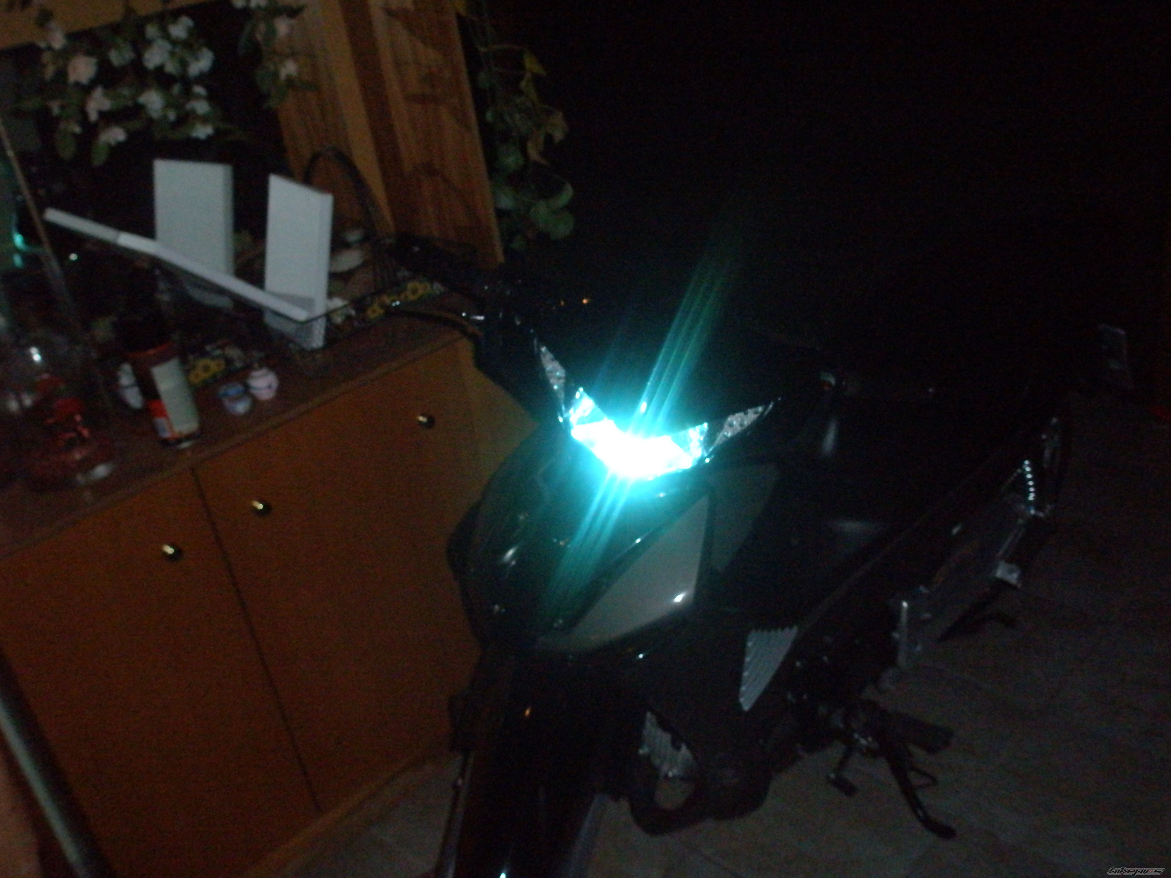 Photo 1448261
