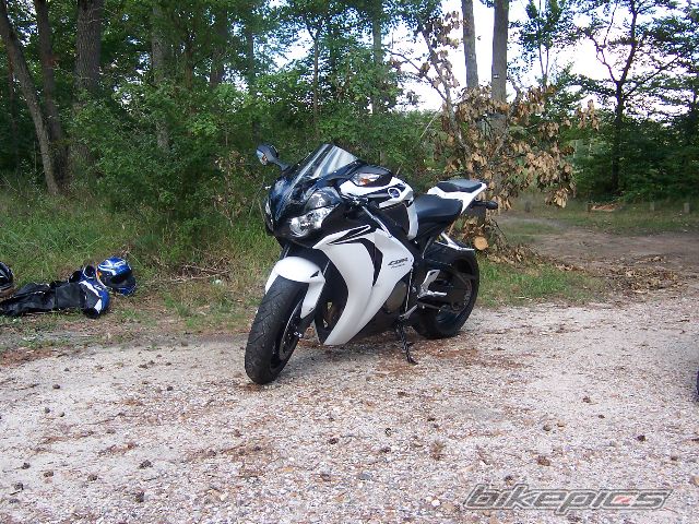 Photo 1448262