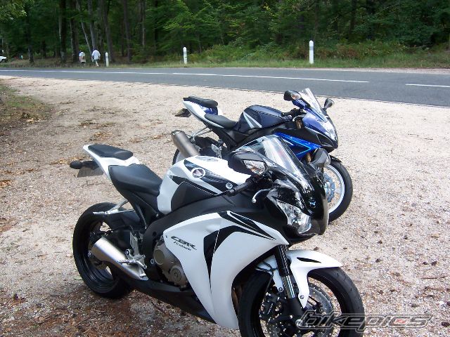 Photo 1448264