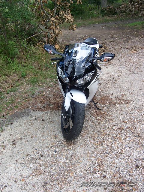 Photo 1448265
