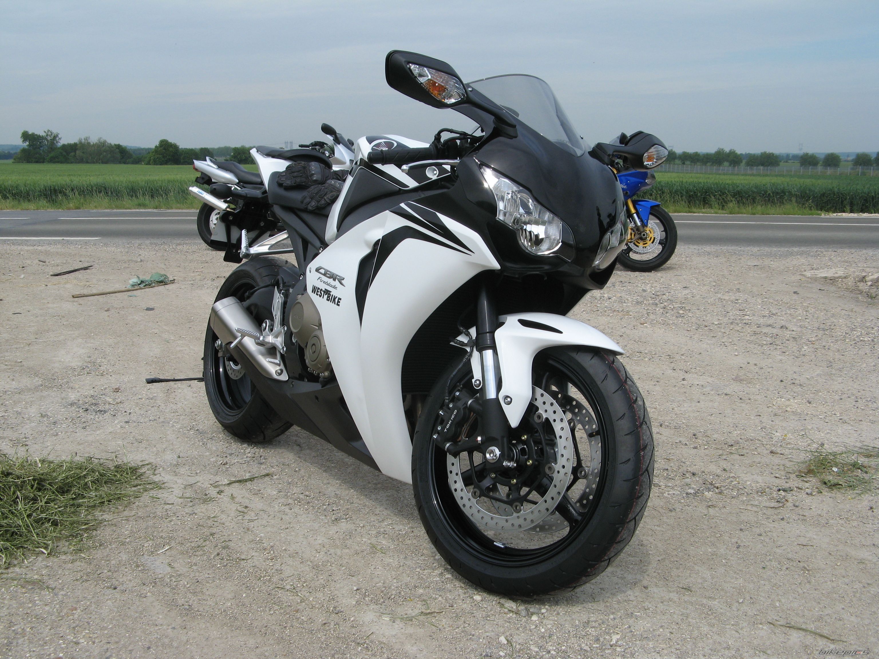 Photo 1448270