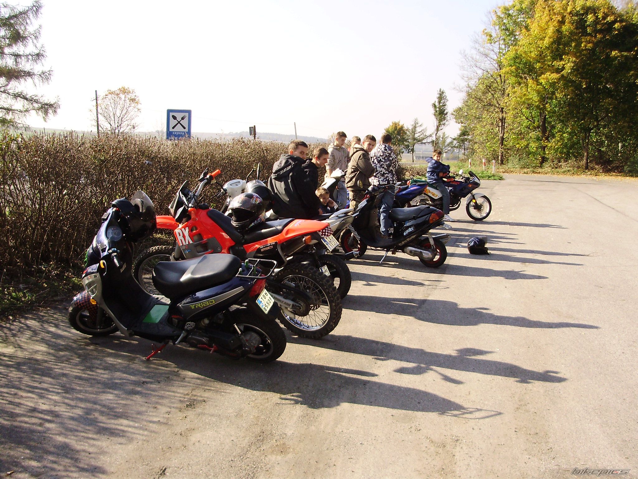 Photo 1448282