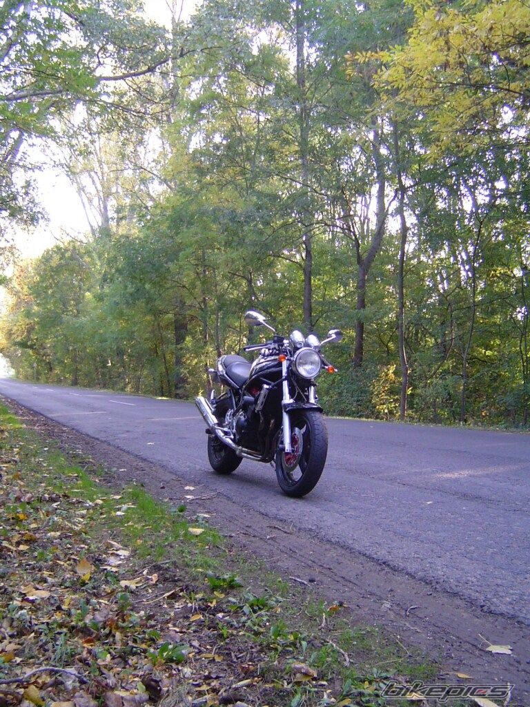 Photo 1448375