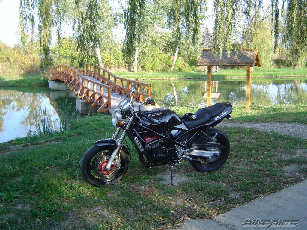 Photo 1448376