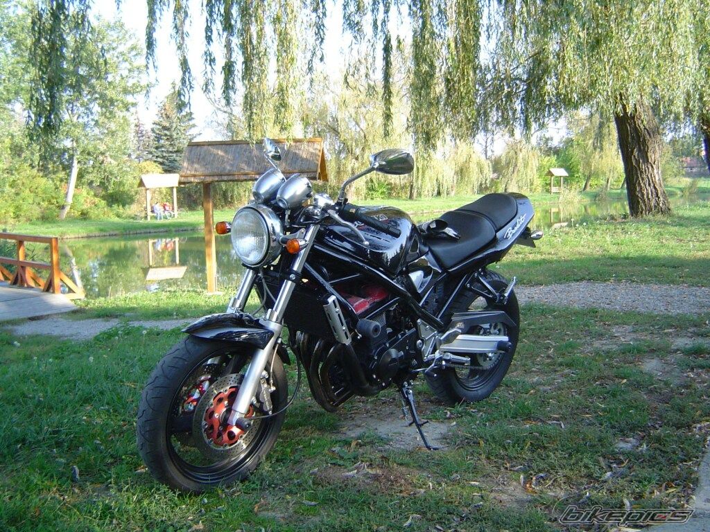 Photo 1448377