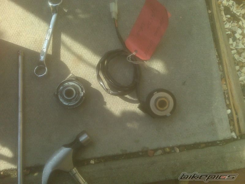 Photo 1448388