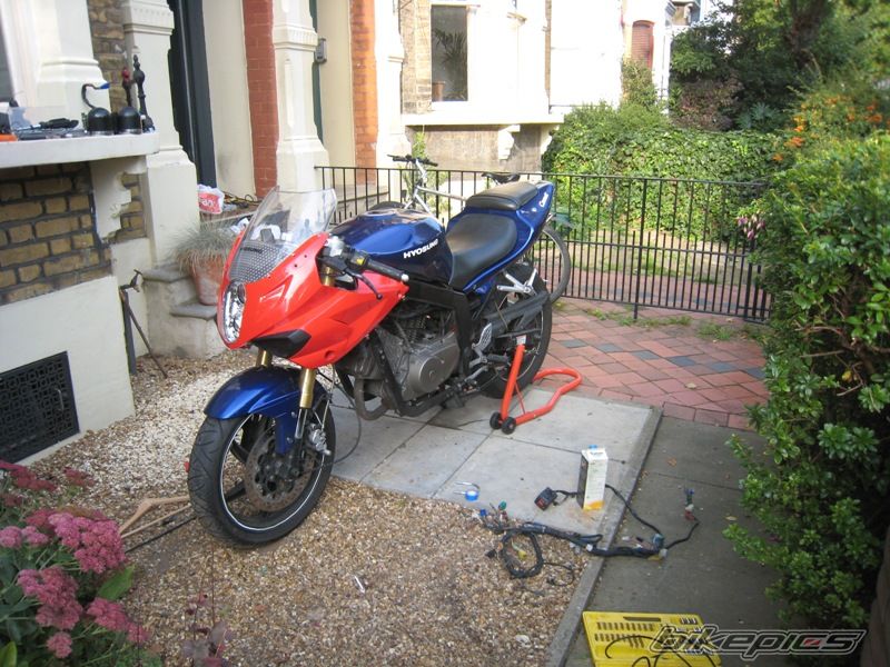 Photo 1448397