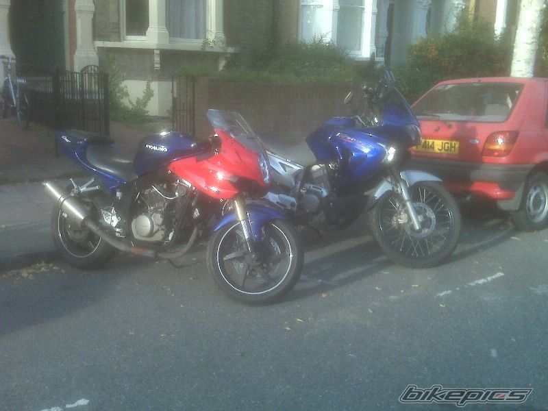 Photo 1448398