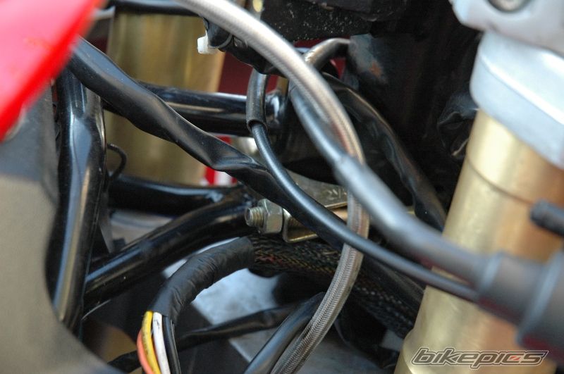 Photo 1448400