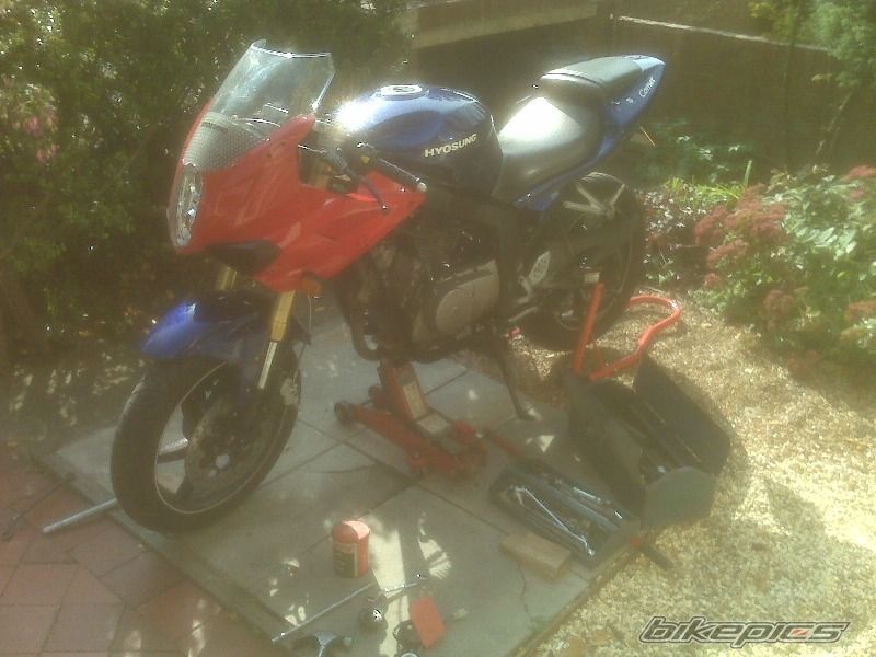 Photo 1448402