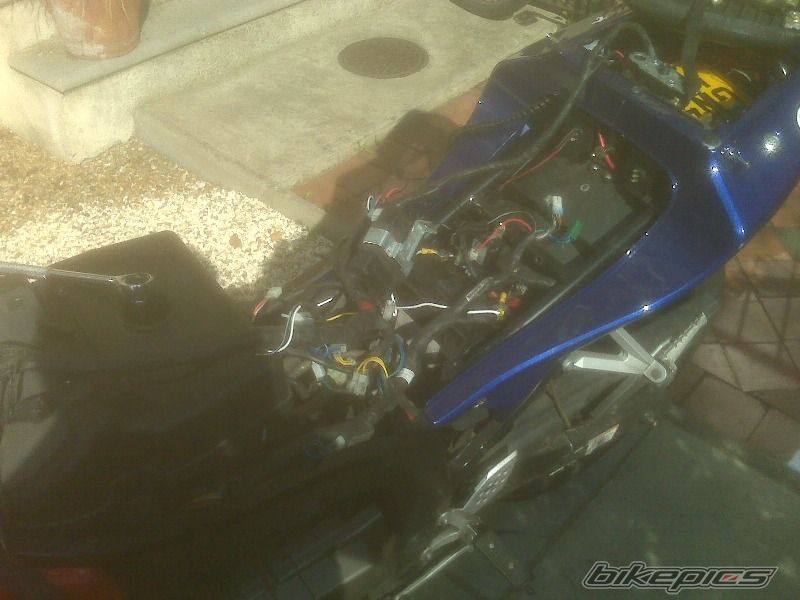 Photo 1448404