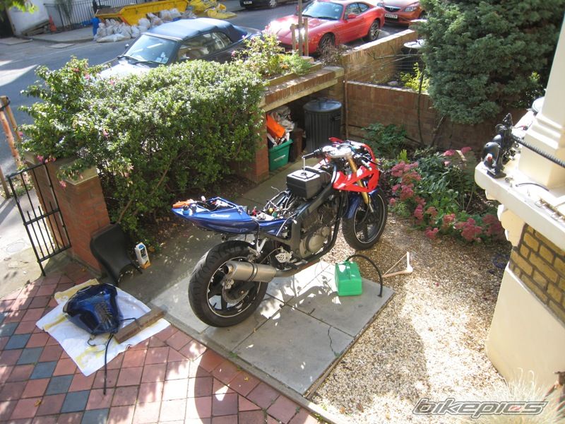 Photo 1448409