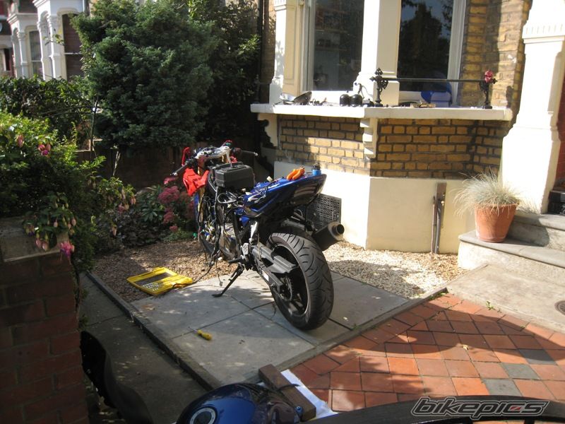 Photo 1448410