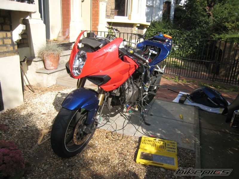 Photo 1448411