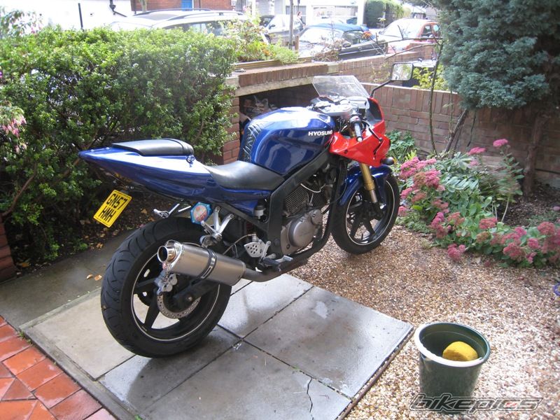 Photo 1448414
