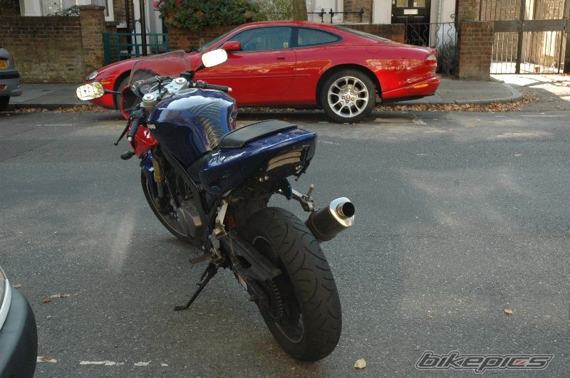 Photo 1448421