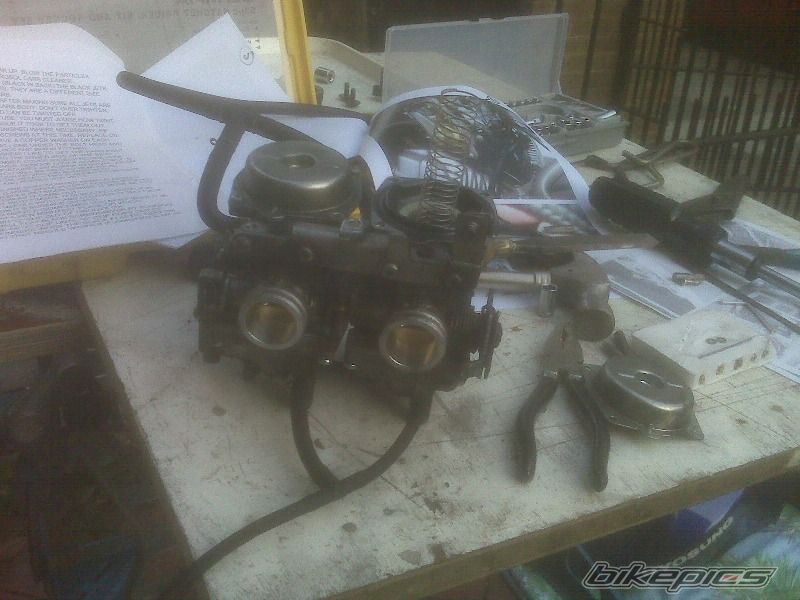 Photo 1448430
