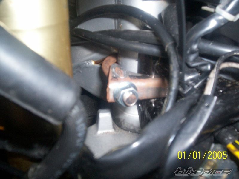 Photo 1448438