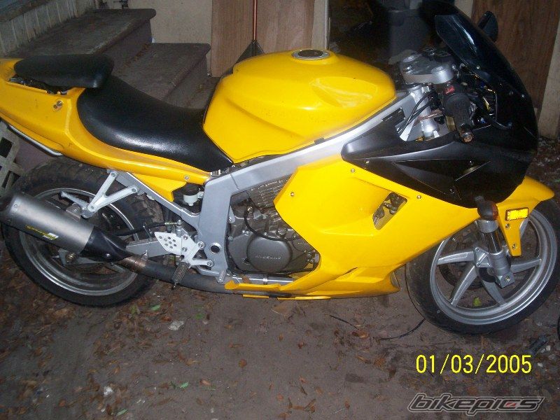 Photo 1448440