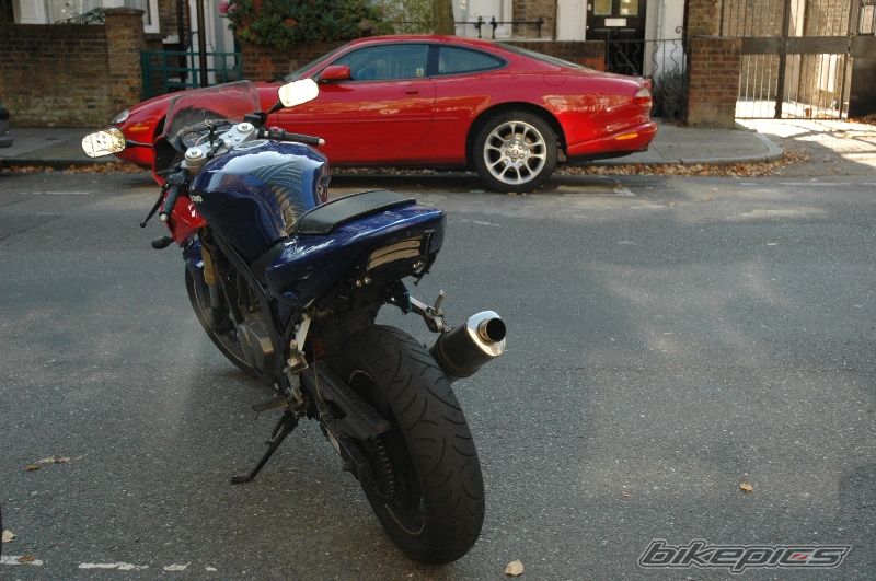 Photo 1448446