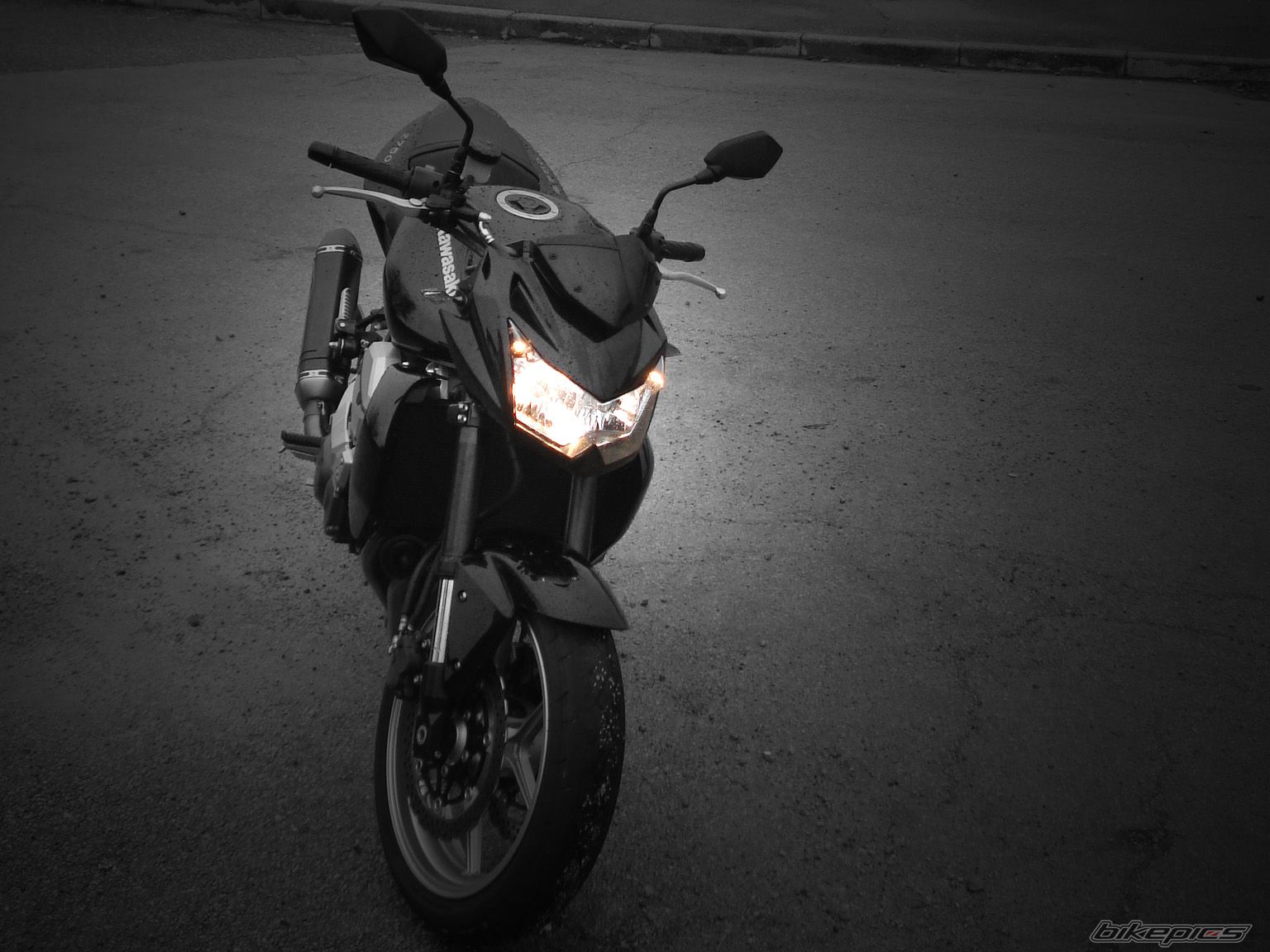 Photo 1448448