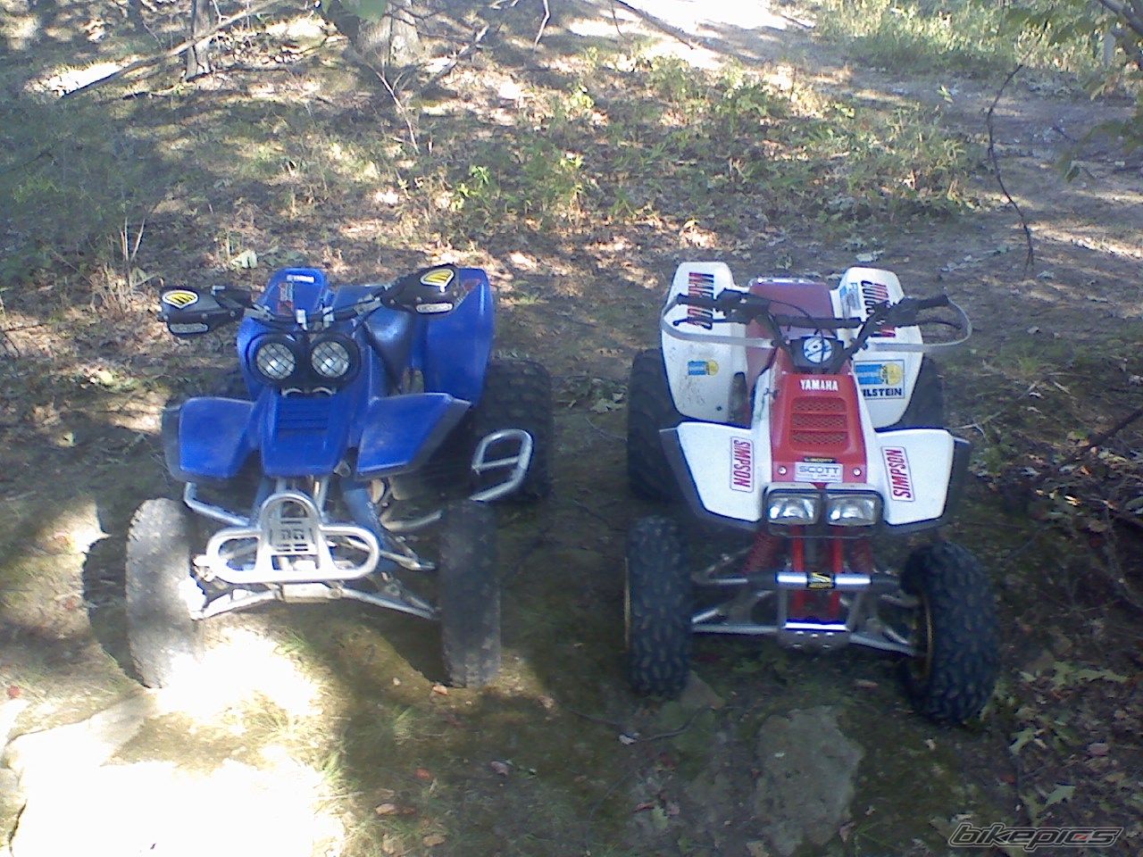 Photo 1448450