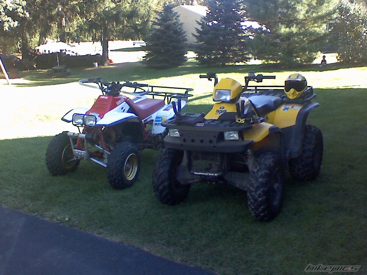 Photo 1448453