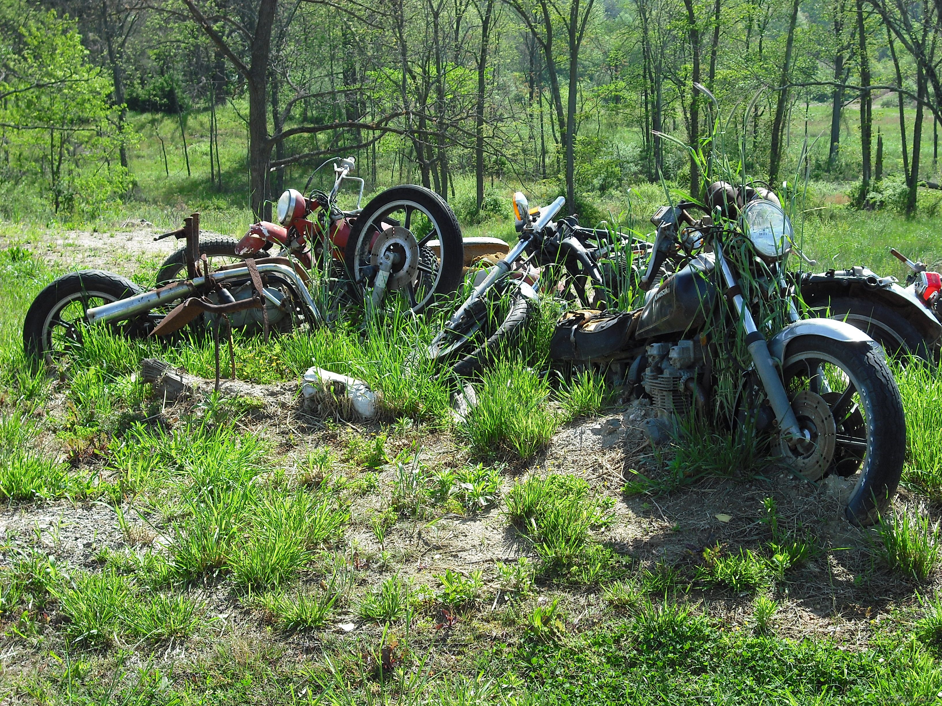 Bike Photo 1448601