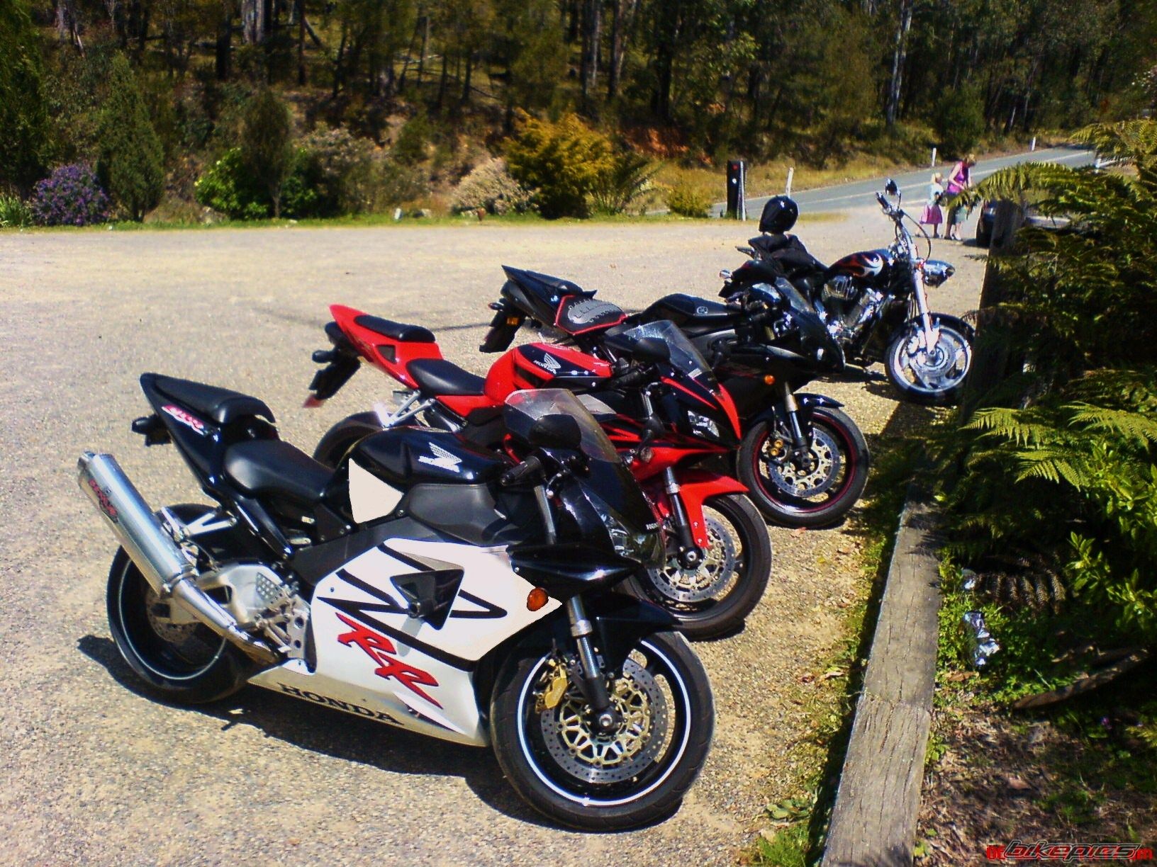 Photo 1448675
