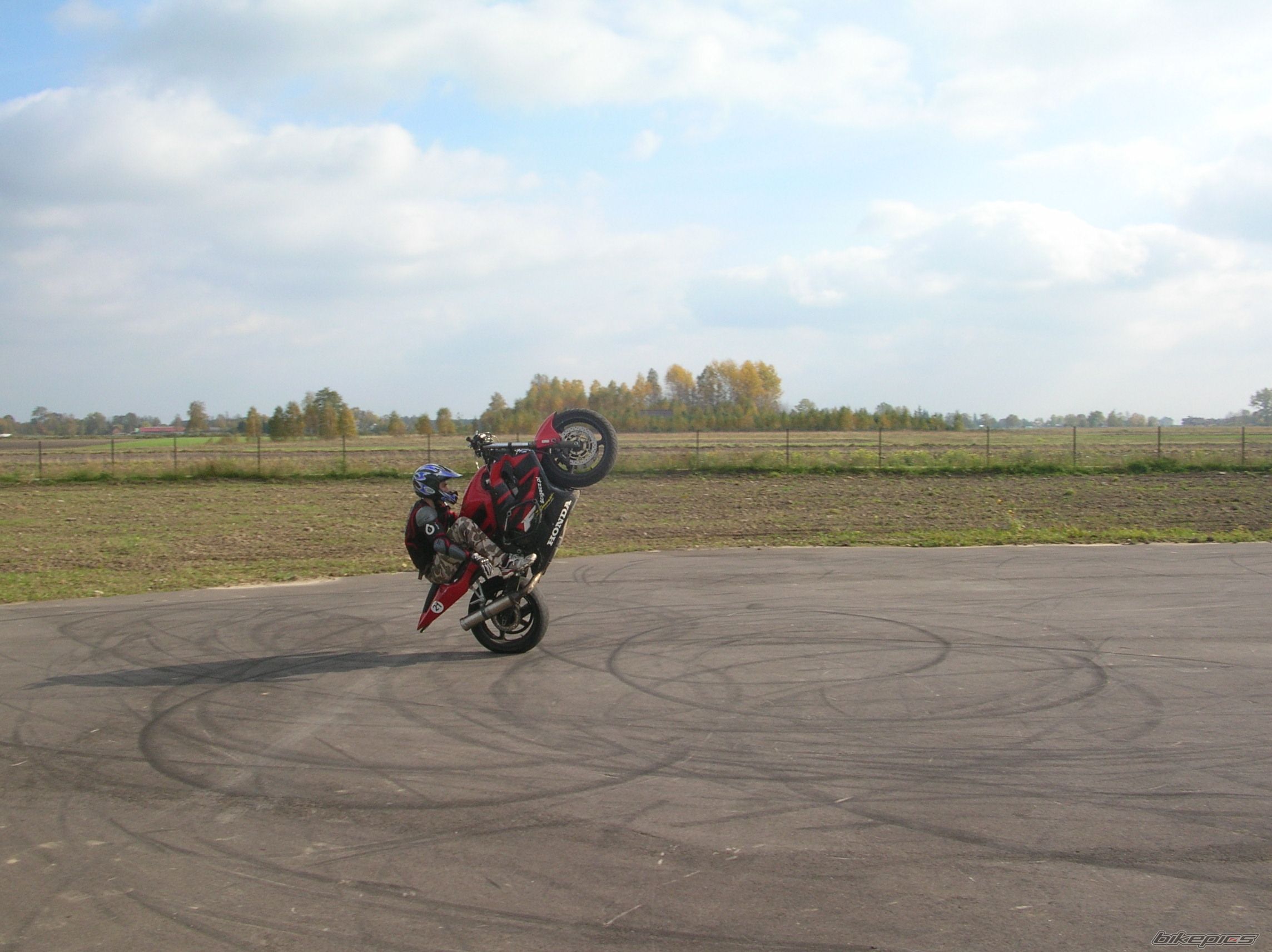 Photo 1448690