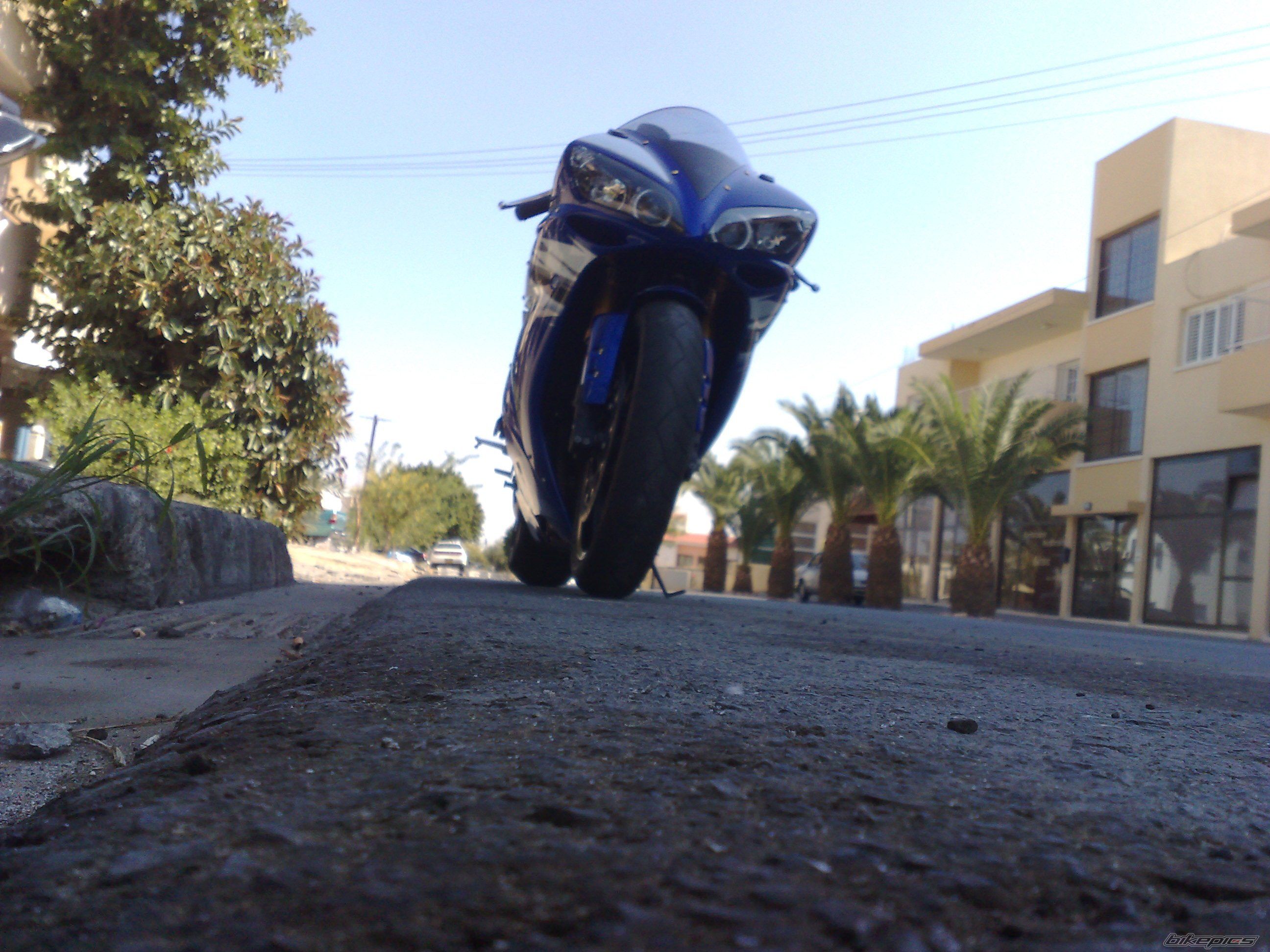 Photo 1448706