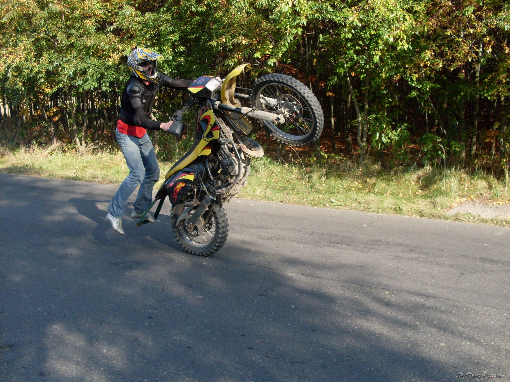 Photo 1448720