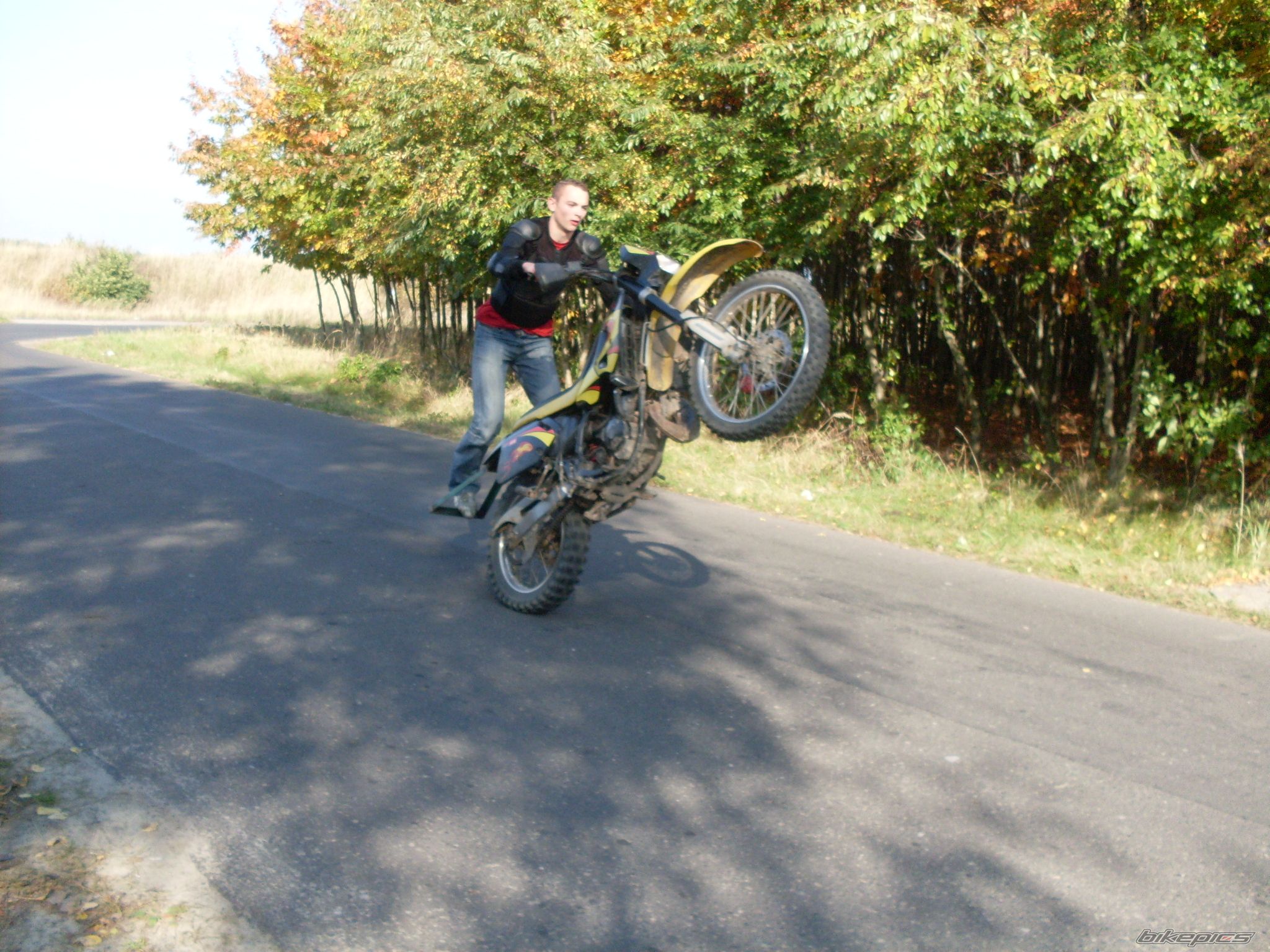 Photo 1448729