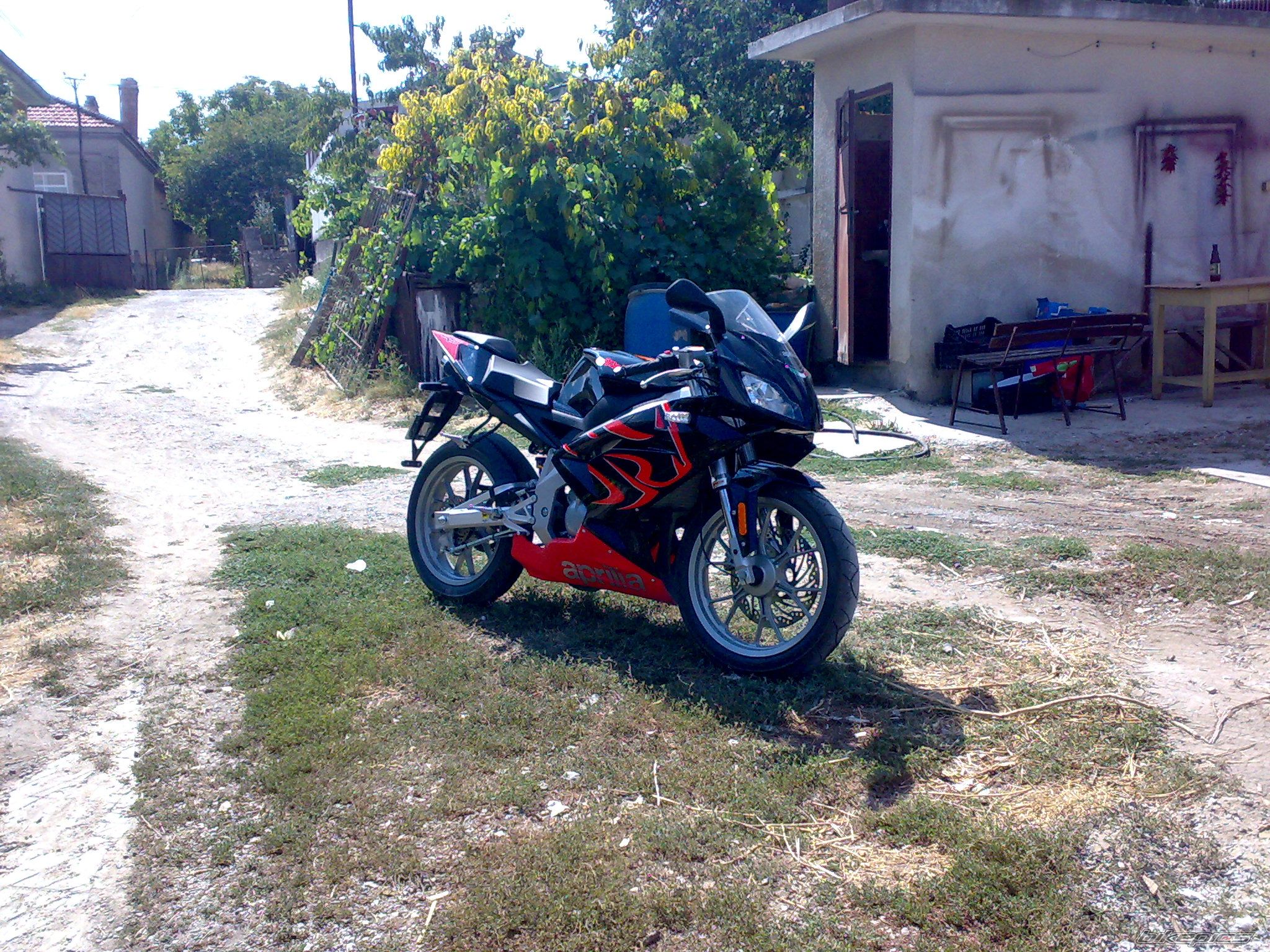Photo 1448734