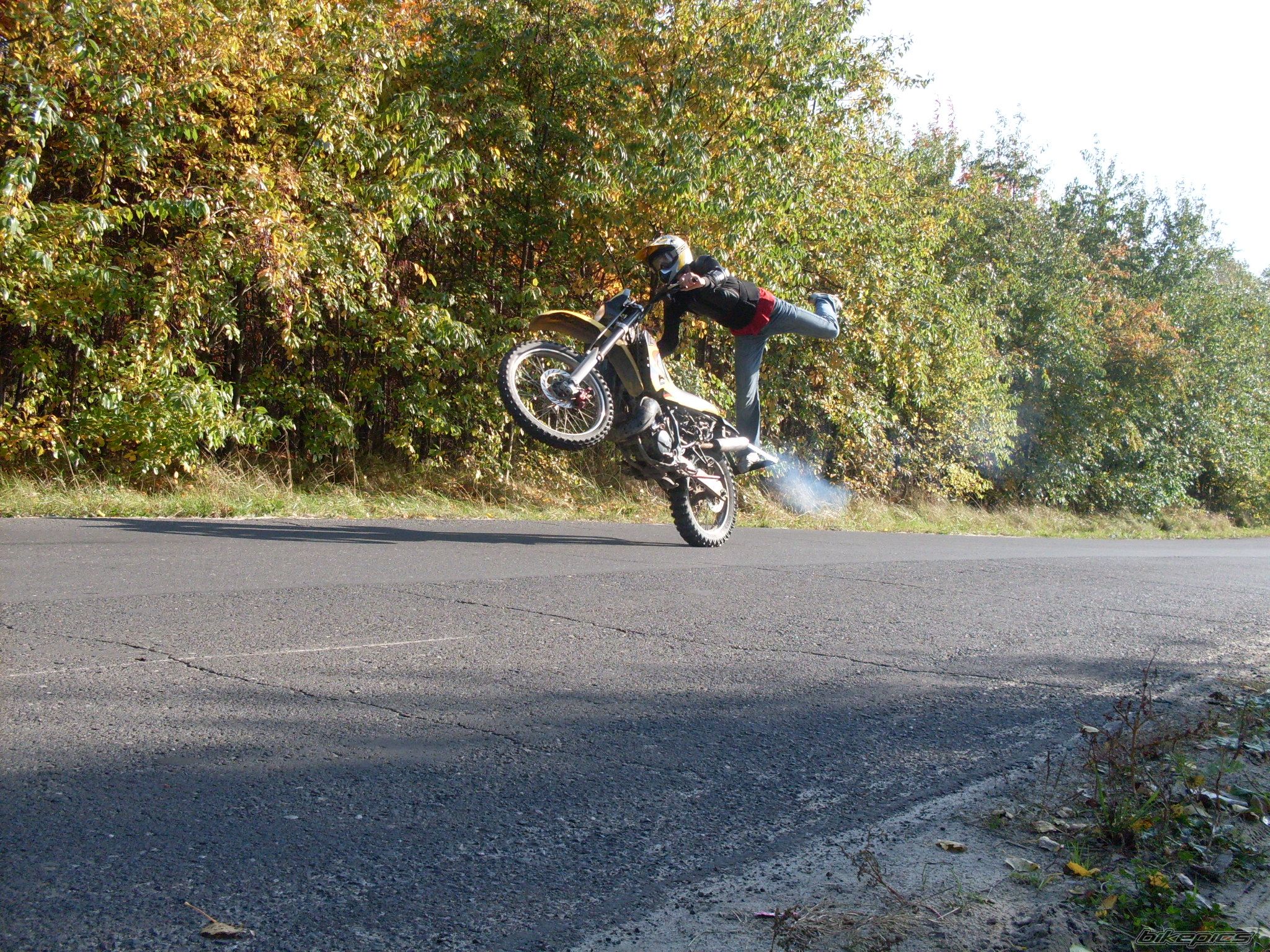 Photo 1448735