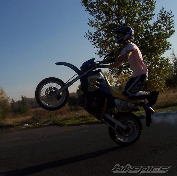 Photo 1448772