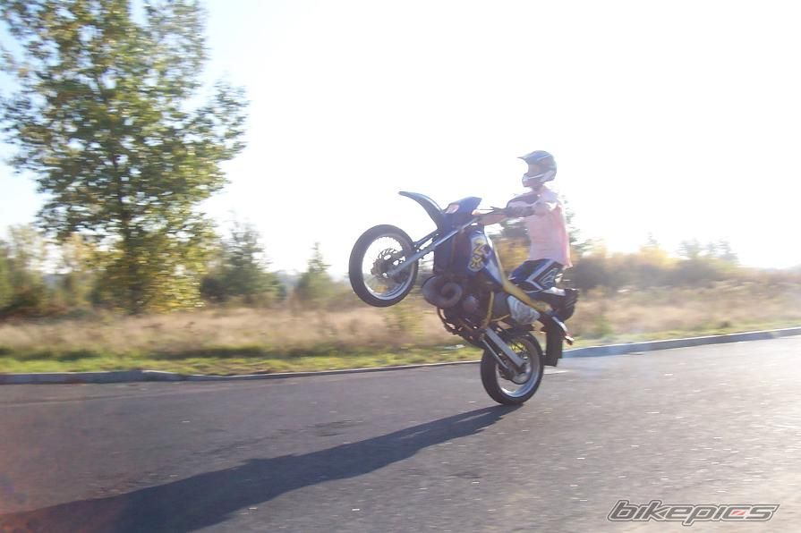 Photo 1448773