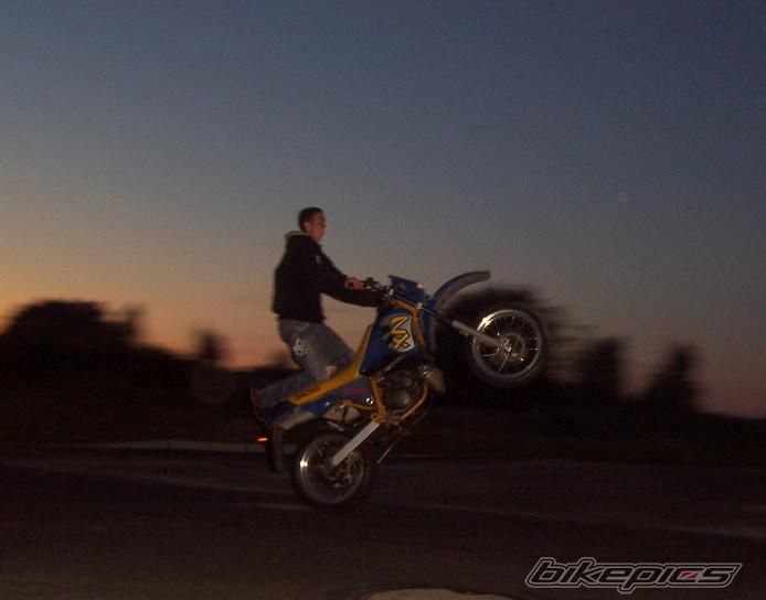Photo 1448774