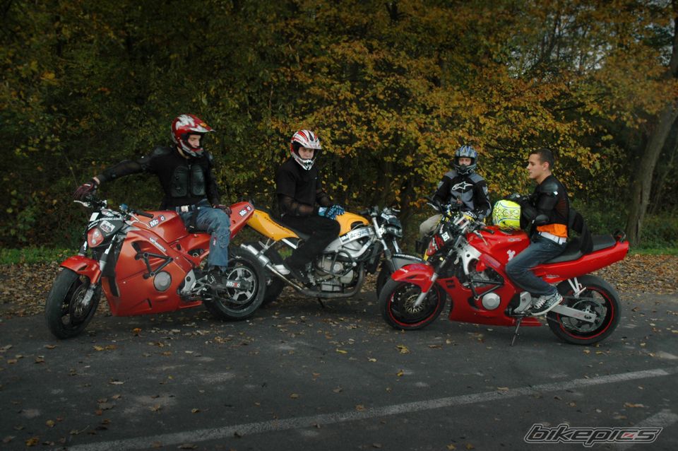 Photo 1448782