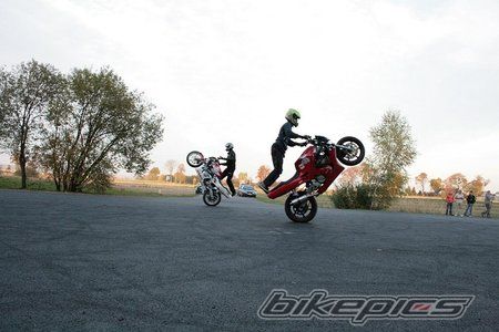 Photo 1448785