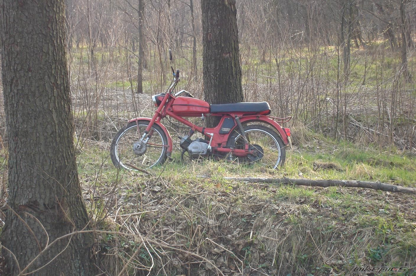 Photo 1448844