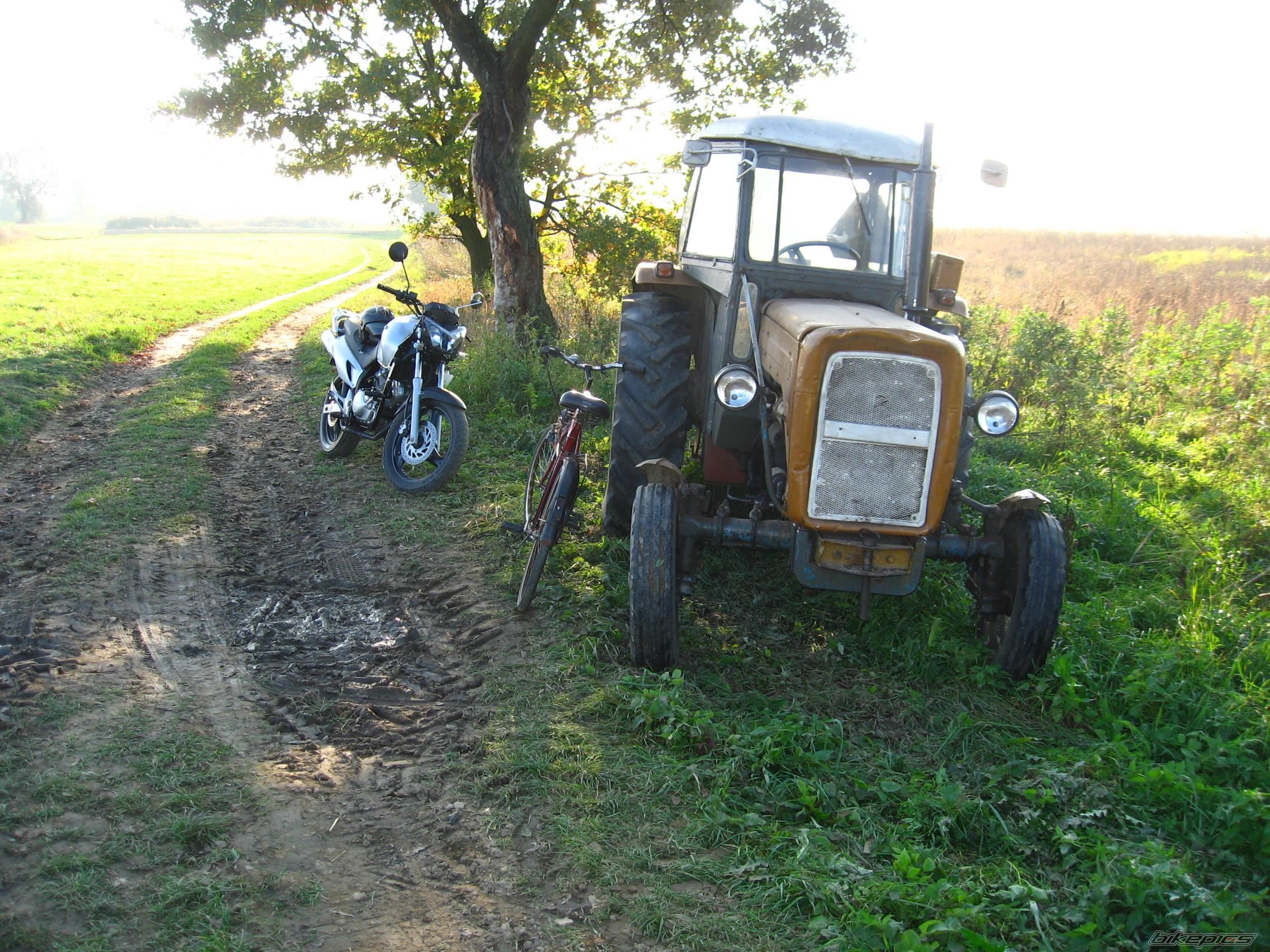 Photo 1448866