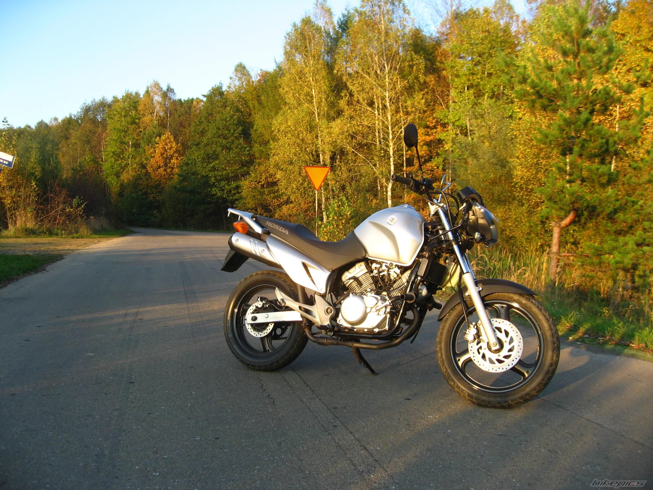 Photo 1448868