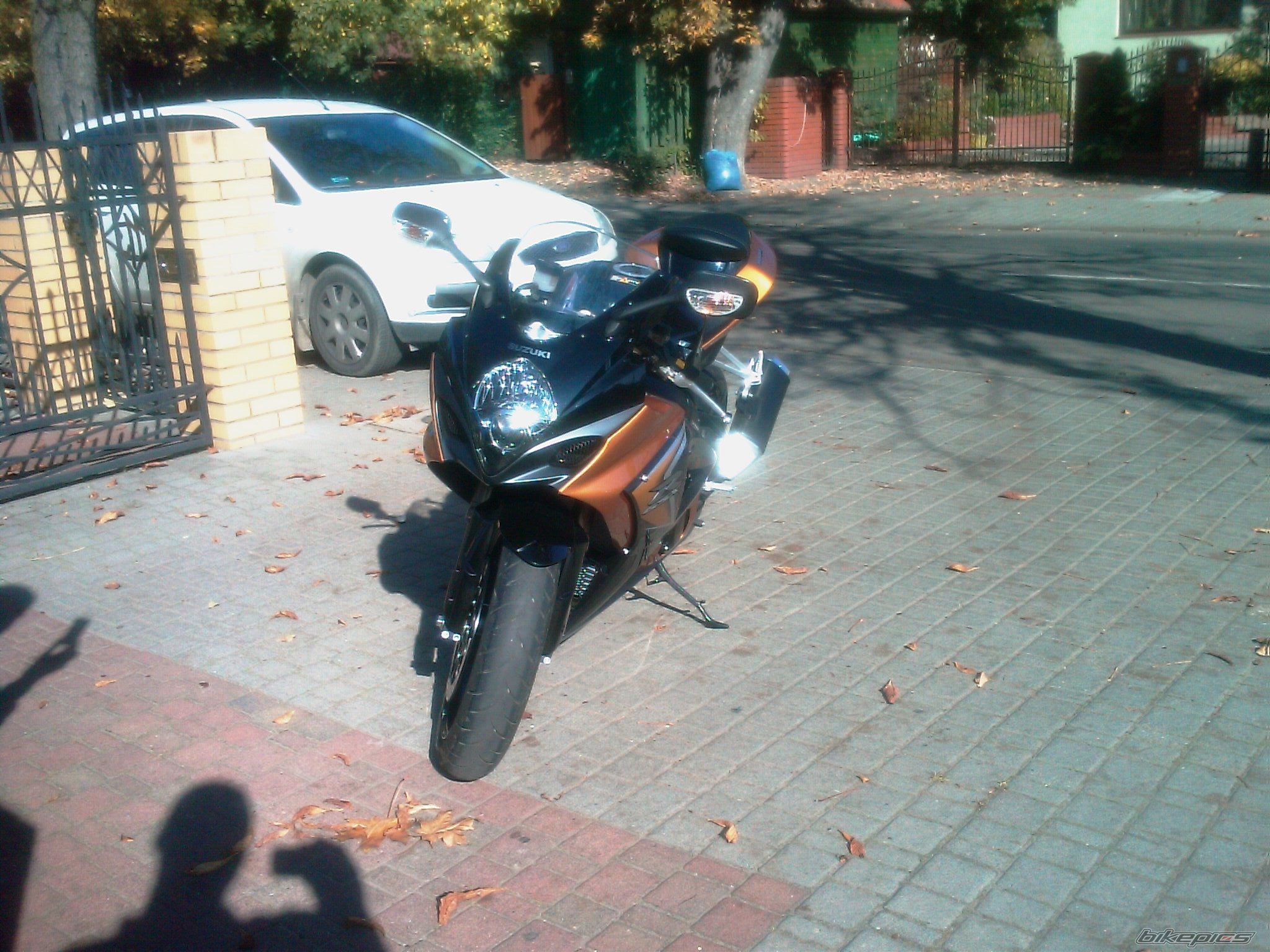Photo 1448872