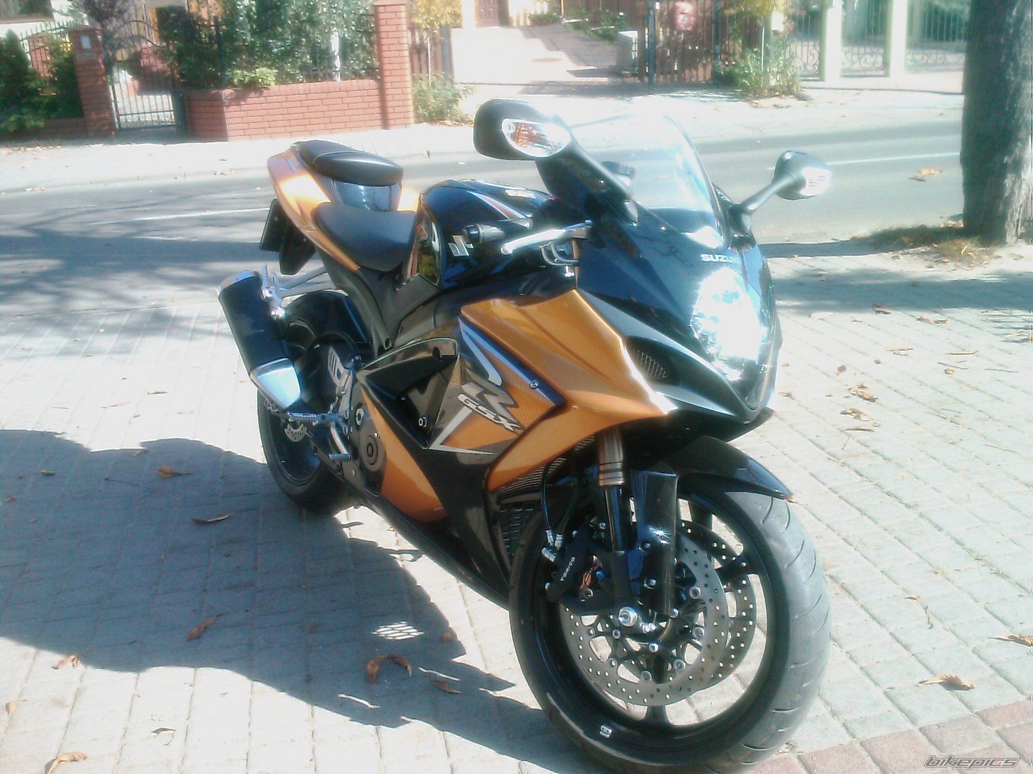 Photo 1448874