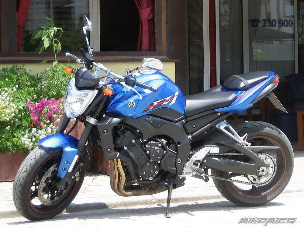 Photo 1448889