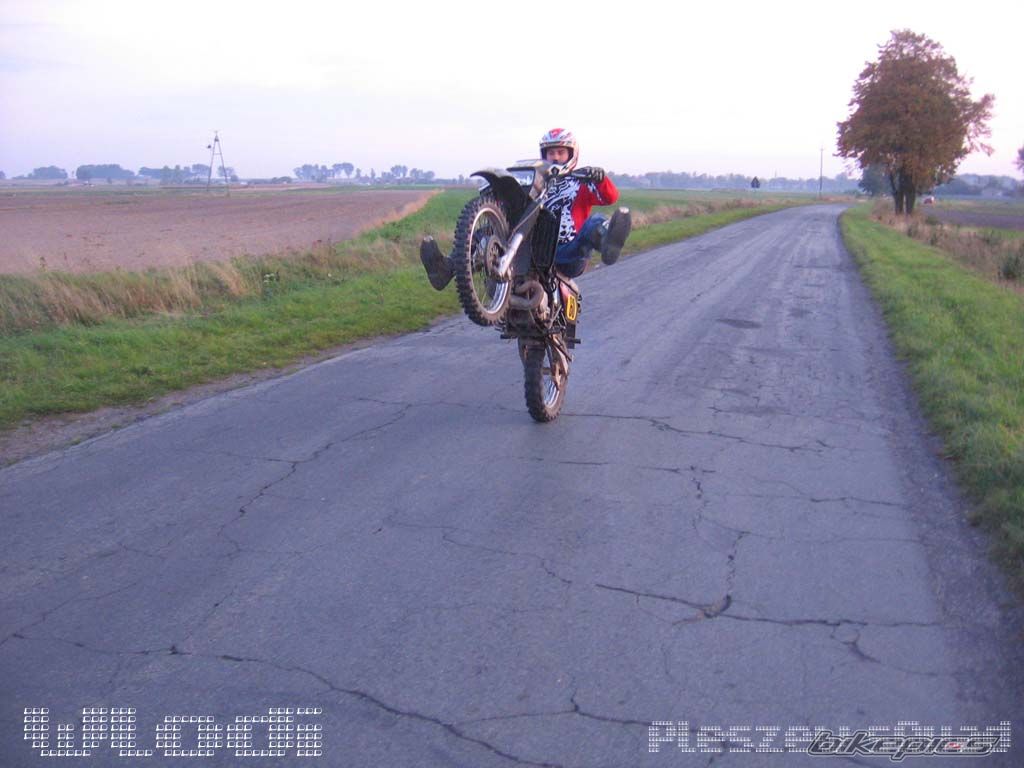 Photo 1448897