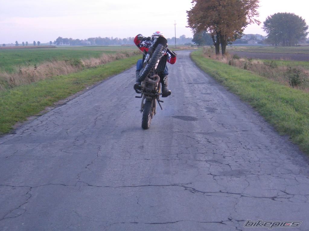 Photo 1448899
